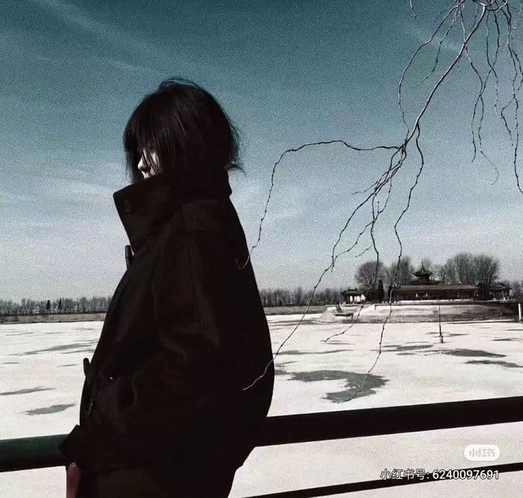 ✴︎ redda ⊹ lancey foux - "Cold''