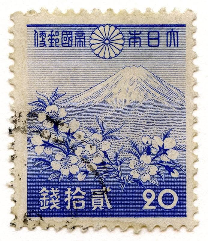 MONTE FUJI || MIR NICOLAS TYPE BEAT