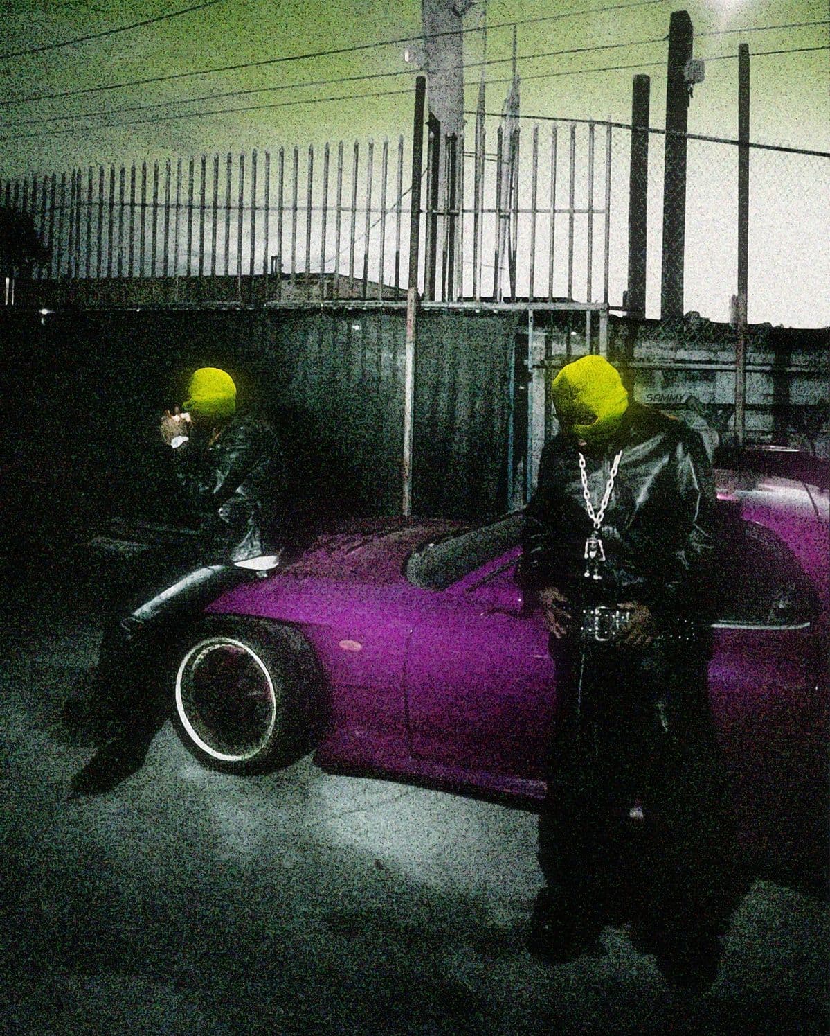 Cactus Vinyl