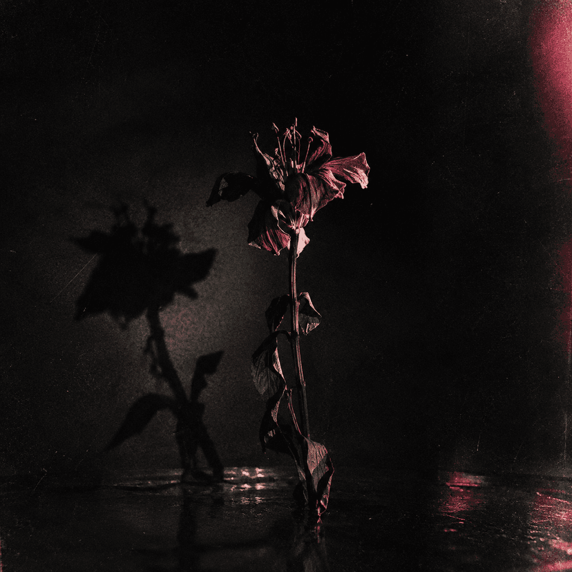 ThornS