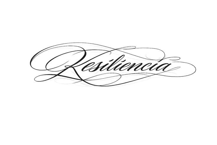 02 resiliencia