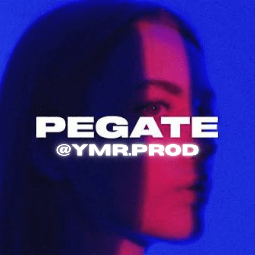 REGGAETON PERREO TYPE BEAT - PEGATE
