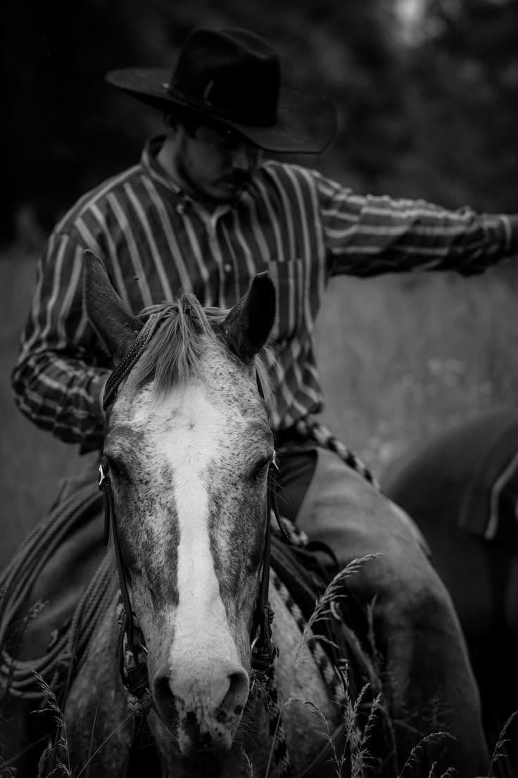 Rancho