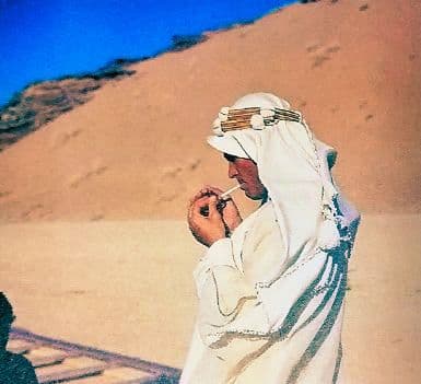 Camel